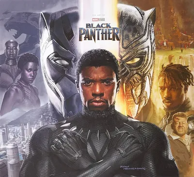 Black Panther (film)/Gallery | Marvel Cinematic Universe Wiki | Fandom |  Black panther images, Black panther marvel, Black panther art