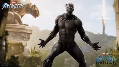 Hasbro Marvel Legends Series Black Panther Action Figure | GameStop
