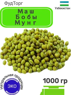 Маш крупа/ маш бобы мунг/ фасоль, Узбекистан 1 кг - купить с доставкой по  выгодным ценам в интернет-магазине OZON (949348708)