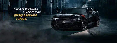 Shot: в Санкт-Петербурге пассажир Chevrolet Camaro выкинул из машины  полкило наркотиков - Газета.Ru | Новости