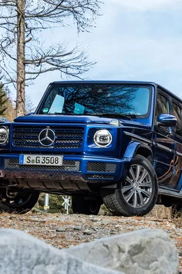 Машина Mobicaro Mercedes-Benz G63 1:32 Карбон купить по цене 1690 ₸ в  интернет-магазине Детский мир