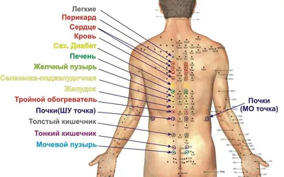 Массаж при боли в спине и пояснице. Какие техники, показания и  противопоказания