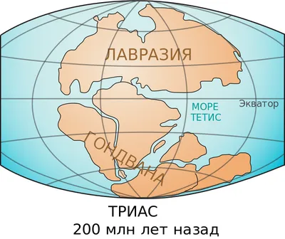 Материки картинки - 72 фото