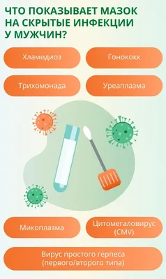 Мазок на флору в СПб у женщин и мужчин, цена 450 руб. - Клиника ЛИЦ