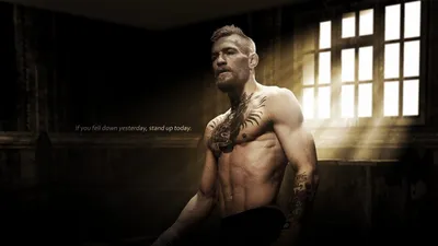 Чехол с изображением Conor McGregor The Notorious для iPhone 4/4s силикон  купить недорого в интернет-магазине Caseme