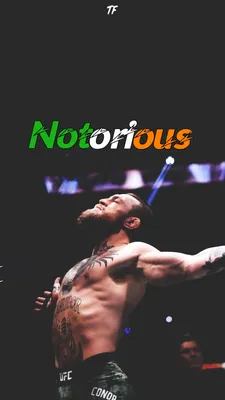 UFC: Conor McGregor - Настінні календарі 2019 | Купуйте на Europosters
