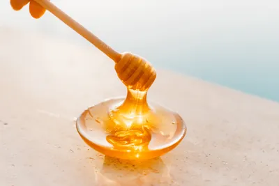 Виды меда, сорта и характеристики: какой мед бывает и его разновидности