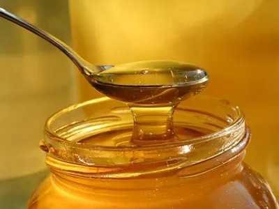 Натуральный мёд или нет. Как проверить качество мёда?