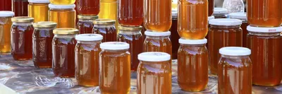 Гречишный мед - польза, противопоказания, полезные советы, как выбрать,  хранить, или быстро отличить не качественный мед.