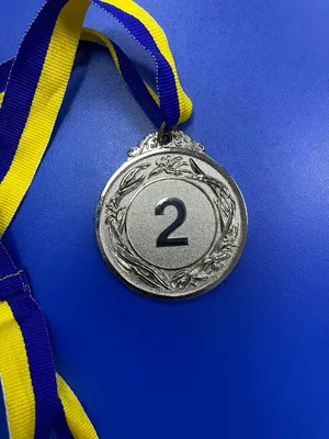 Медаль на соревнования по скалолазанию