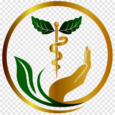 Эмблема Медицинский Кадуцей - Бесплатная векторная графика на Pixabay -  Pixabay