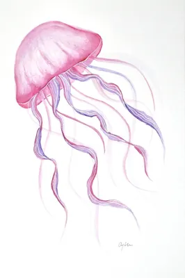 Медуза на чёрном – КВАРТИРА S