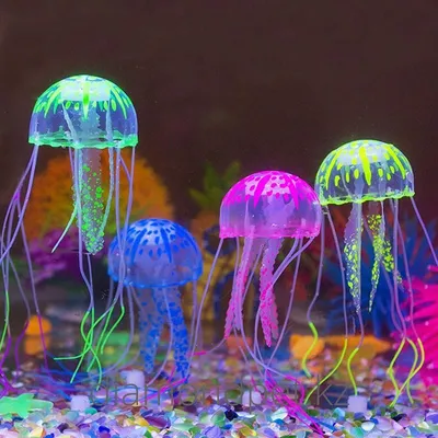 изображение медузы на темном фоне, медуза из американской ивы, Hd  фотография фото, медуза фон картинки и Фото для бесплатной загрузки