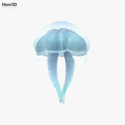 Медуза на белом фоне hyper | Премиум Фото