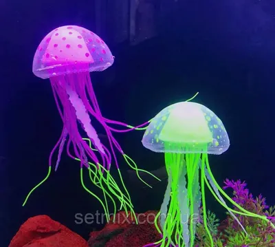 Реалистичная красивая медуза на …» — создано в Шедевруме