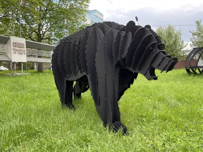 Медведь гризли стоковое изображение. изображение насчитывающей погремушк -  26956101
