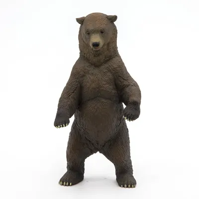 В нацпарке Канады медведь гризли напал на посетителей