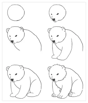 Белый медведь рисунок для детей поэтапно - 89 фото