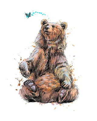 Медведь для срисовки 23 февраля (35 шт)