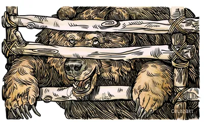 4 способа как нарисовать медведя поэтапно. | Кисти художника | Дзен