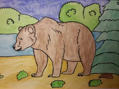 Медведь детский рисунок карандашом (19 шт)
