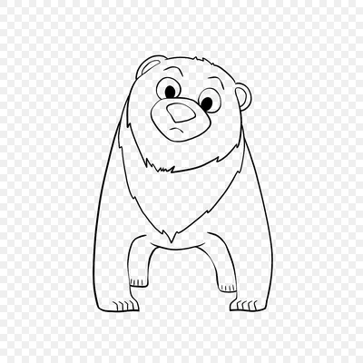 Каля Маля Всё о рисунках. Учимся рисовать: Как нарисовать медведя из  мультфильма \"Маша и медведь\"?