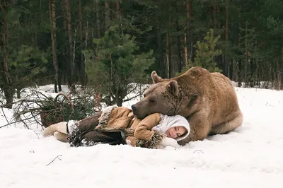 Медведь осенью и зимой - 58 фото