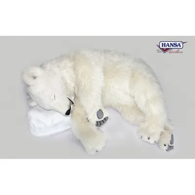 Медведь спит - Медведи. Распечатать или скачать раскраску бесплатно