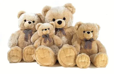 Мягкая игрушка Мягкие игрушки БелайТойс Плюшевый медведь Кельвин 150 см  цвет молочный купить по цене 3859 ₽ в интернет-магазине Детский мир