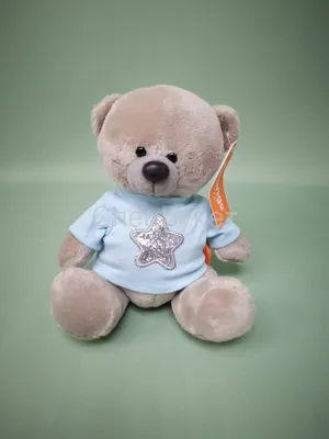 Мягкая игрушка Медведь в свитере 30 см / Мишка в подарок на 14 февраля -  купить с доставкой по выгодным ценам в интернет-магазине OZON (1167128377)