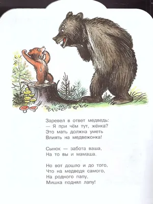 Медвежонок-невежа и другие сказки