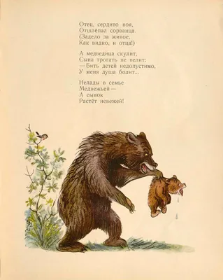 Книга \"Медвежонок-невежа\" Агния Барто. Купить книгу в Калининграде | Мишки  и Книжки