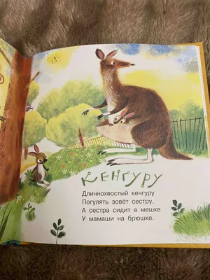 Медвежонок-невежа, , Махаон купить книгу 5-88215-288-7 – Лавка Бабуин,  Киев, Украина