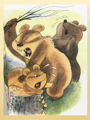 Медвежонок-невежа. 1956 год в 2023 г | Художники, Книжные иллюстрации,  Медвежонок