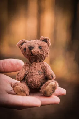 Винтажный медведь Тедди | Пикабу