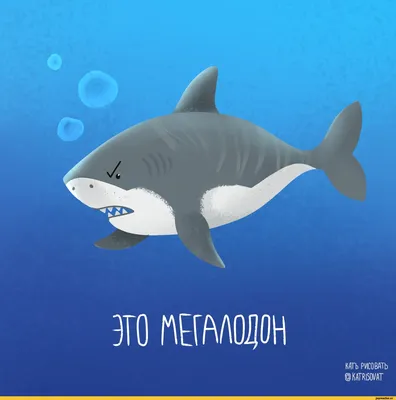 Ученым удалось установить внешность древней акулы мегалодона (ФОТО): читать  на Golos.ua