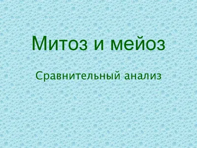 Модель Митоз и Мейоз клетки купить в Екатеринбурге