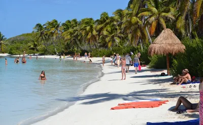 Мексика, Куба и Индия: сколько стоит съездить на море зимой | РБК Life