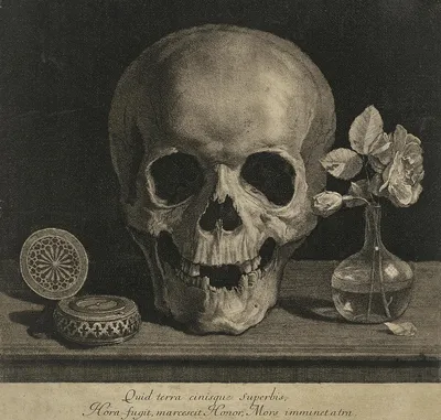 The Skull - Memento Mori Painting by Jean Morin - Fine Art America