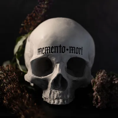 Skull Print: Vintage Memento Mori Death Art Illustration - Etsy