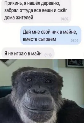 Мемные