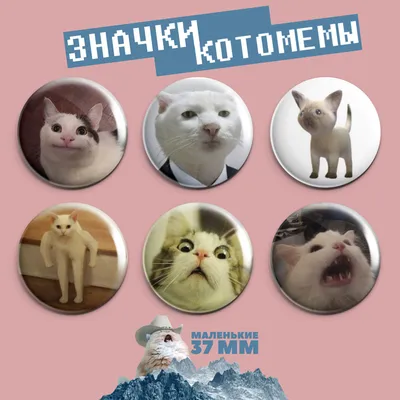 Стикерпак «Мемные котейки» | Купить настольную игру в магазинах Мосигра