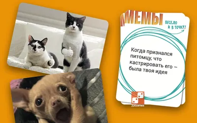 Мемы с котиками, которые поднимут ваше настроение на 100% | Sweet home |  Дзен