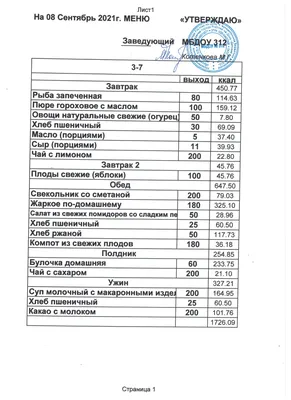 Вижен-Софт:Питание в детском саду - программа по питанию для детского сада