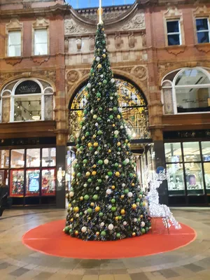 Круто, когда сын научился фоткать) мери крисмас гайз🎄 | Instagram