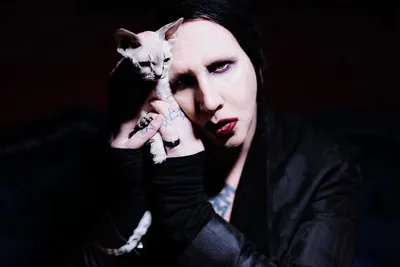 Обложка на паспорт чехол группа Marilyn Manson Мэрлин Мэнсон Мерлин Менсон  группы рок музыка rock | AliExpress