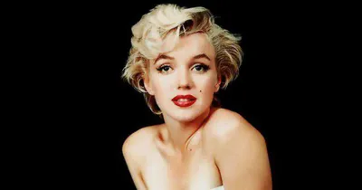 Фото Мерилин Монро / Marilyn Monroe с кошкой