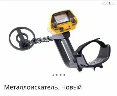 Металлоискатель Garrett ACE 300i — купить по выгодной цене можно с  доставкой по Москве | Отзывы, технические характеристики и обзор