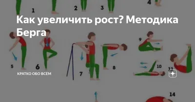 Как увеличить рост? Методика Берга | Кратко обо всём | Дзен