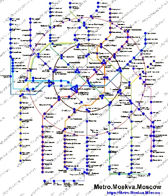 Схема метро Москвы с расчетом времени в пути 2024 года и новыми станциями с  пересадками на МЦД, БКЛ и МЦК